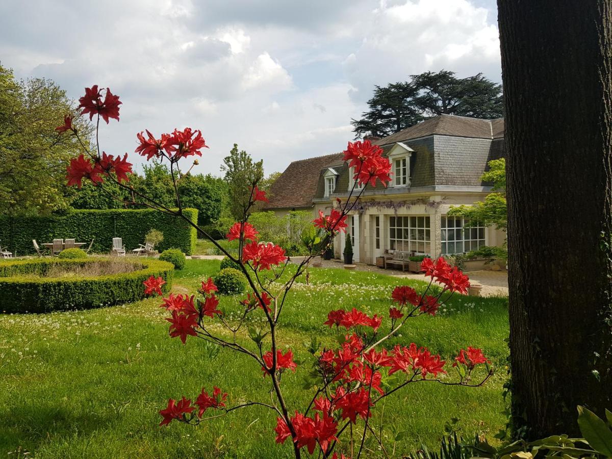 La Taille De Biou Bed & Breakfast Huisseau-sur-Cosson Eksteriør bilde