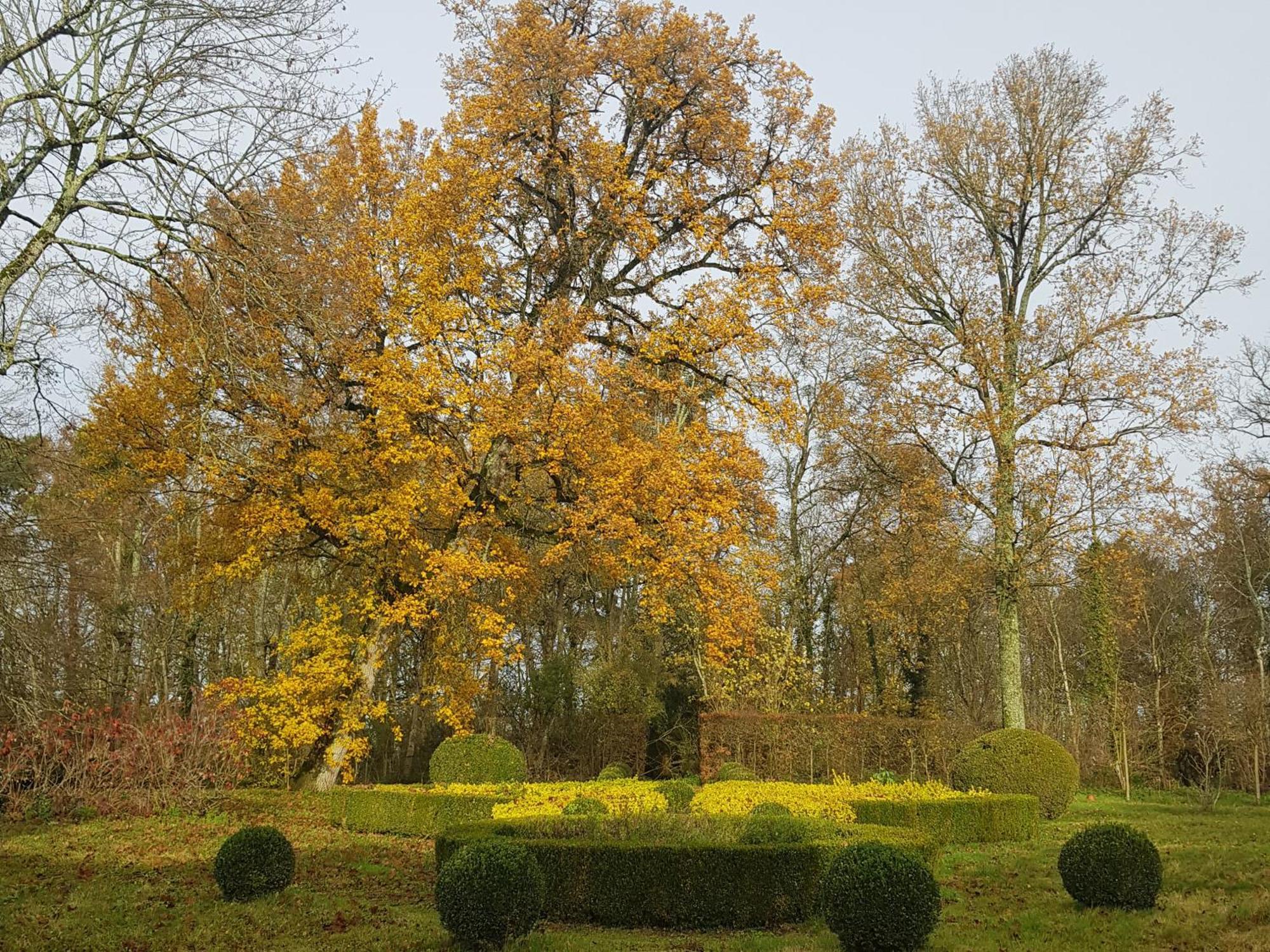 La Taille De Biou Bed & Breakfast Huisseau-sur-Cosson Eksteriør bilde
